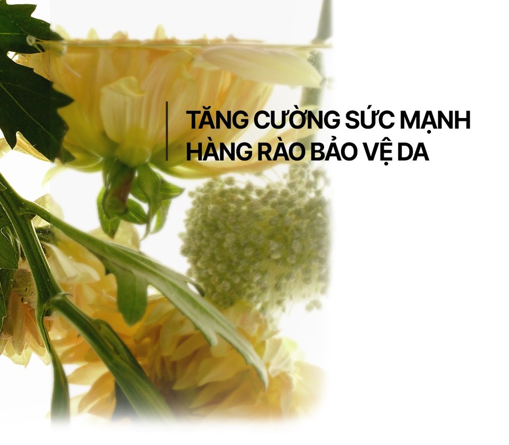Thành phần Nước thần Su:m37