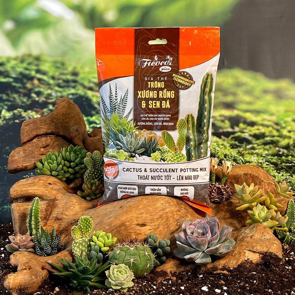Mô tả Đất trồng sen đá xương rồng cao cấp, đầy đủ dinh dưỡng, siêu thoát nước, túi 2 lít. - 1