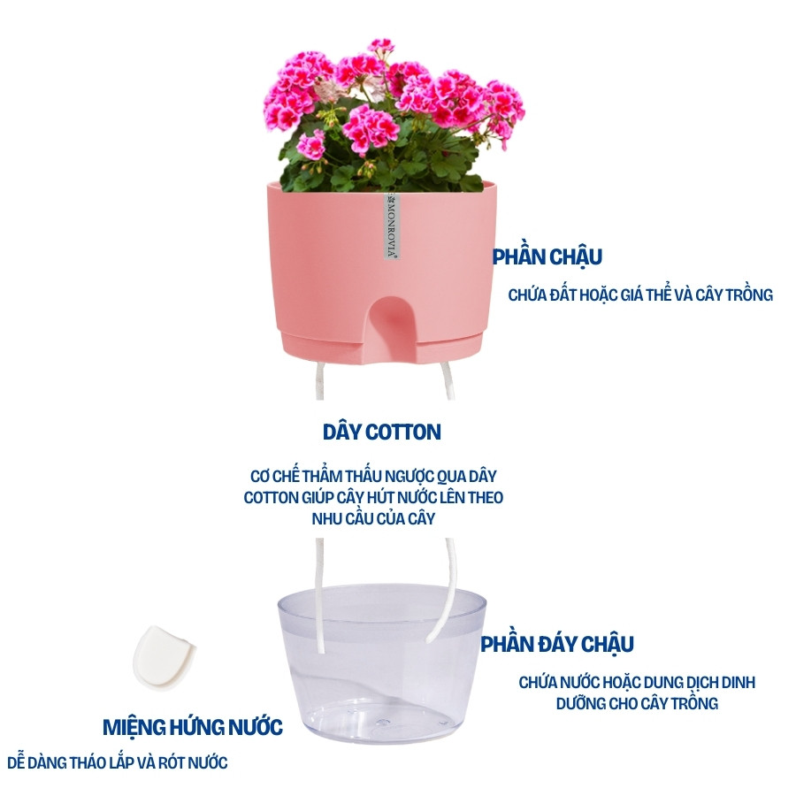 Mô tả Chậu trồng cây tự tưới Monrovia A7, chất liệu PP, trông cây cảnh, hoa, decor nhà, bàn làm việc - 3