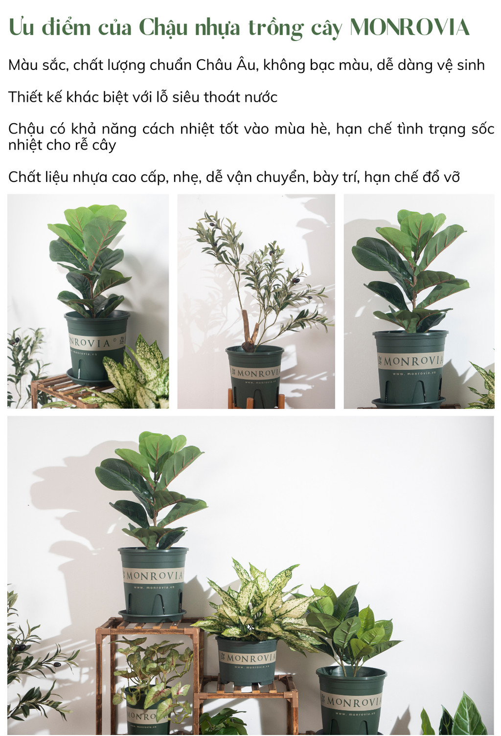 Mô tả Chậu nhựa trồng cây MONROVIA size Nhỏ trong nhà, sân vườn cho hoa hồng, cây cảnh, kiểng lá tiêu chuẩn Châu Âu - 2