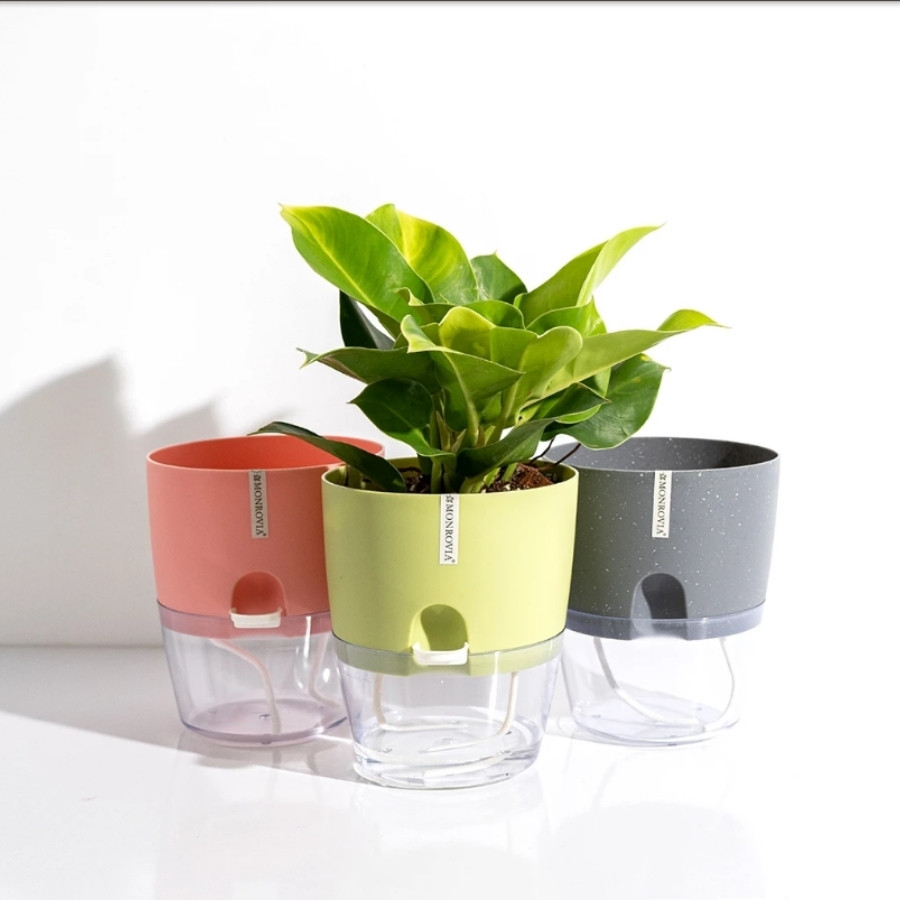 Mô tả Chậu trồng cây tự tưới Monrovia A7, chất liệu PP, trông cây cảnh, hoa, decor nhà, bàn làm việc - 6