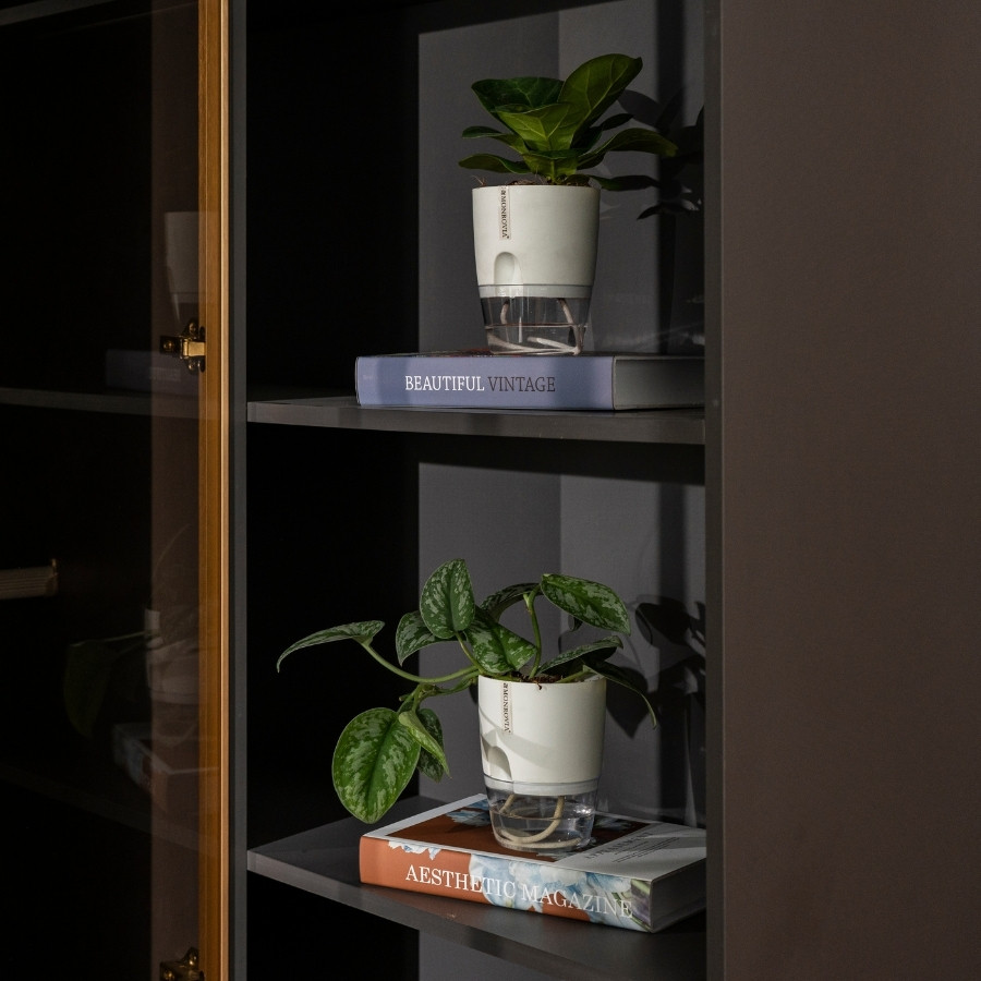 Mô tả Chậu trồng cây tự tưới Monrovia A7, chất liệu PP, trông cây cảnh, hoa, decor nhà, bàn làm việc - 7