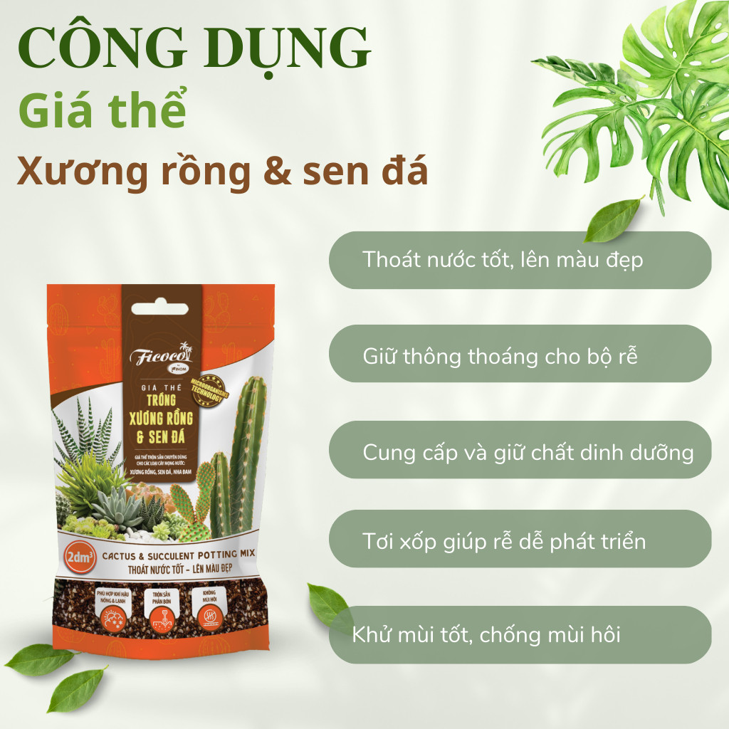 Mô tả Đất trồng sen đá xương rồng cao cấp, đầy đủ dinh dưỡng, siêu thoát nước, túi 2 lít. - 2