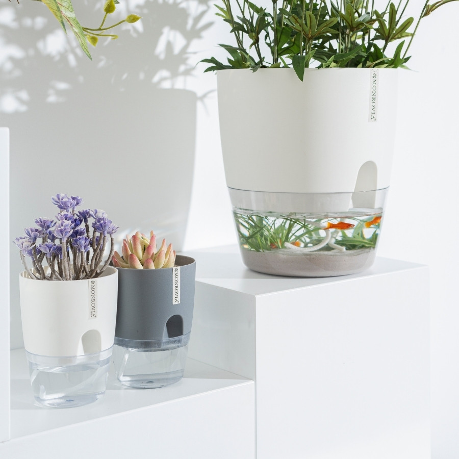 Mô tả Chậu trồng cây tự tưới Monrovia A7, chất liệu PP, trông cây cảnh, hoa, decor nhà, bàn làm việc - 8