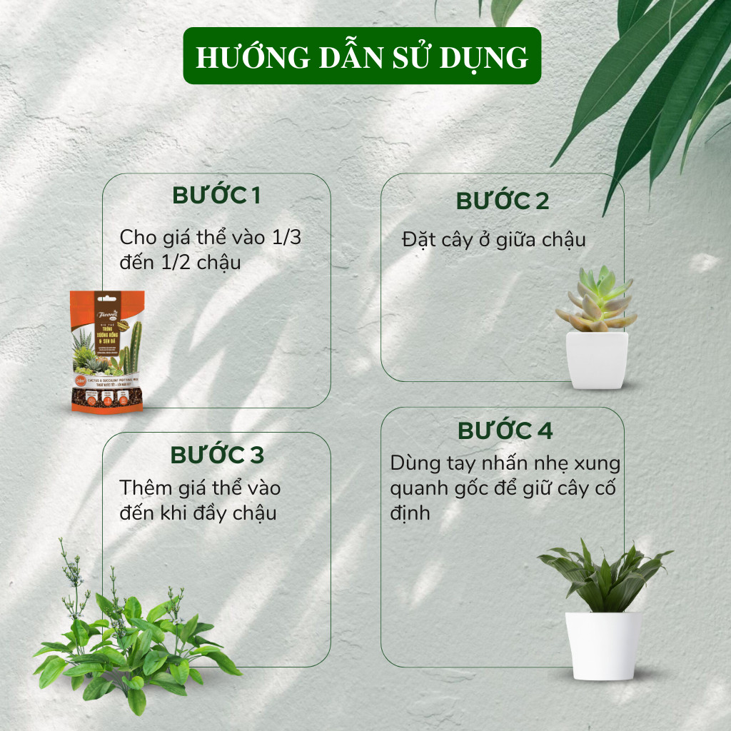 Mô tả Đất trồng sen đá xương rồng cao cấp, đầy đủ dinh dưỡng, siêu thoát nước, túi 2 lít. - 4