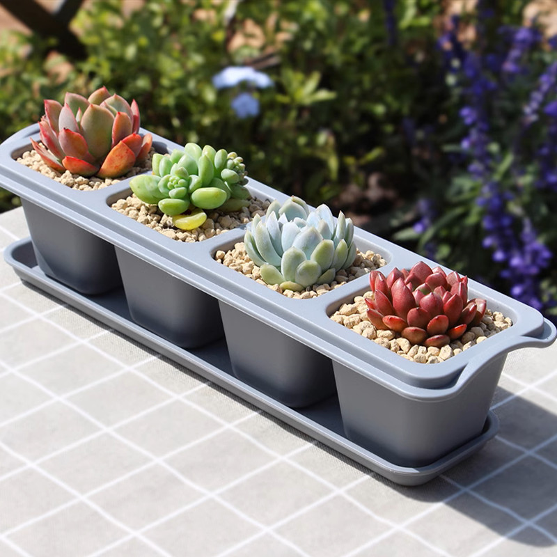 Mô tả Chậu trồng sen đá MONROVIA, trồng cây mini, hoa nhí, xương rồng, bonsai kèm đĩa lót - 9
