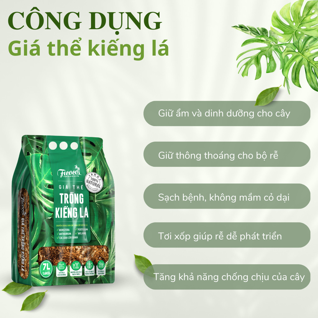 Mô tả Đất trồng kiểng lá, giá thể trồng các cây kiểng lá, cây trong nhà Monstera, Anthurium, Bàng Singapore, túi 7 lít - 1