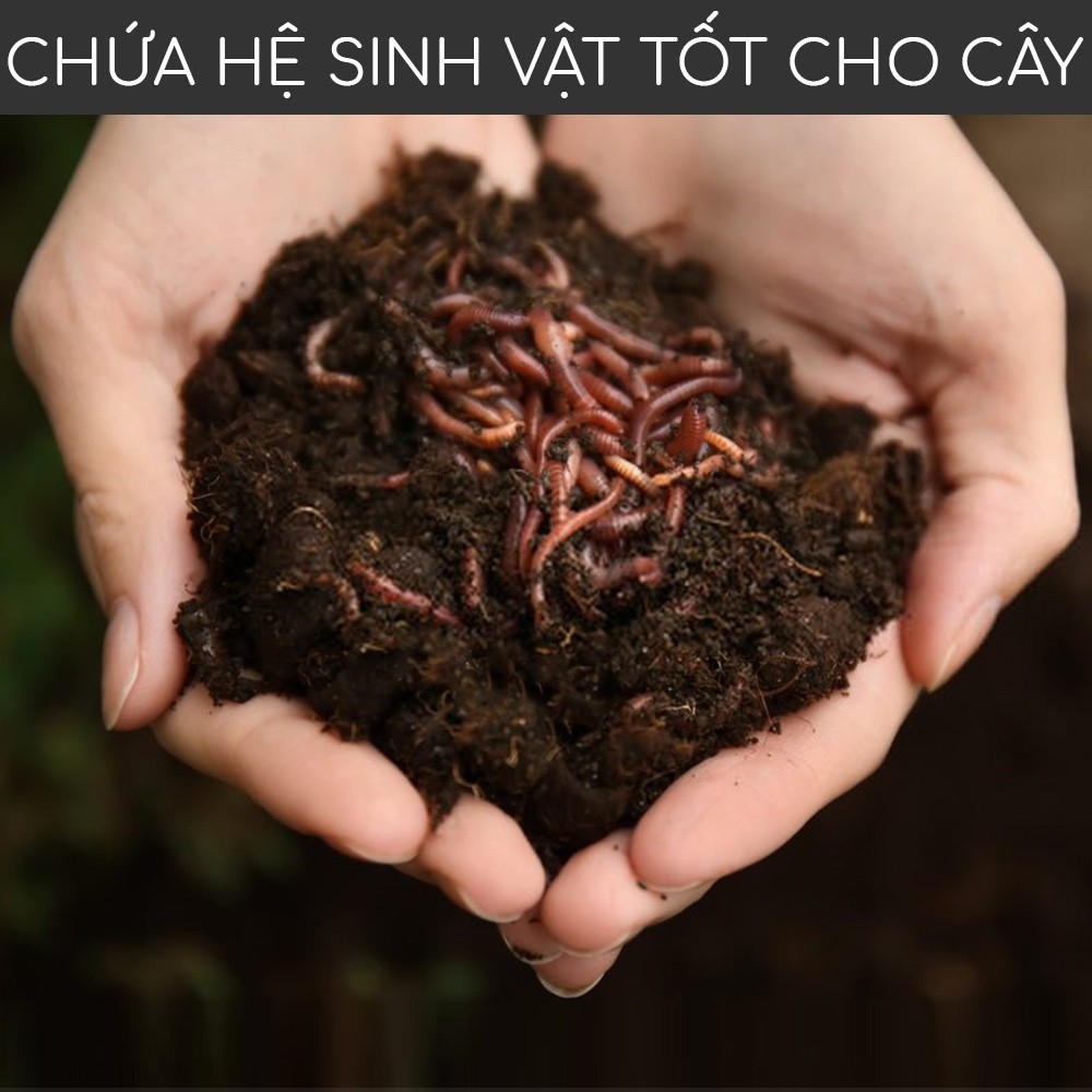 Mô tả Phân trùn quế nguyên chất MONROVIA, tan chậm hữu cơ bón cho hoa hồng, lan, cây cảnh, rau củ quả - 2