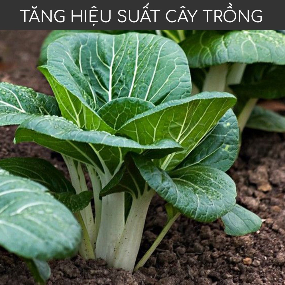 Mô tả Phân trùn quế nguyên chất MONROVIA, tan chậm hữu cơ bón cho hoa hồng, lan, cây cảnh, rau củ quả - 5