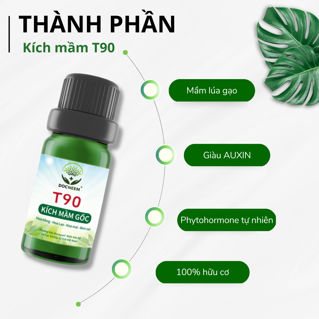Mô tả Kích mầm T90 DOCNEEM bật mầm tua tủa cho hoa hồng, lan, cây cảnh chiết xuất mầm gạo, giàu Auxin,hiệu quả sau 5 ngày,10ml - 1