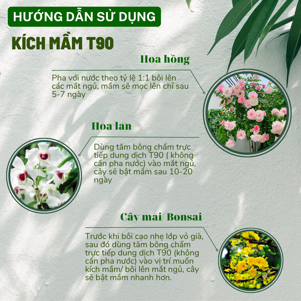 Mô tả Kích mầm T90 DOCNEEM bật mầm tua tủa cho hoa hồng, lan, cây cảnh chiết xuất mầm gạo, giàu Auxin,hiệu quả sau 5 ngày,10ml - 2