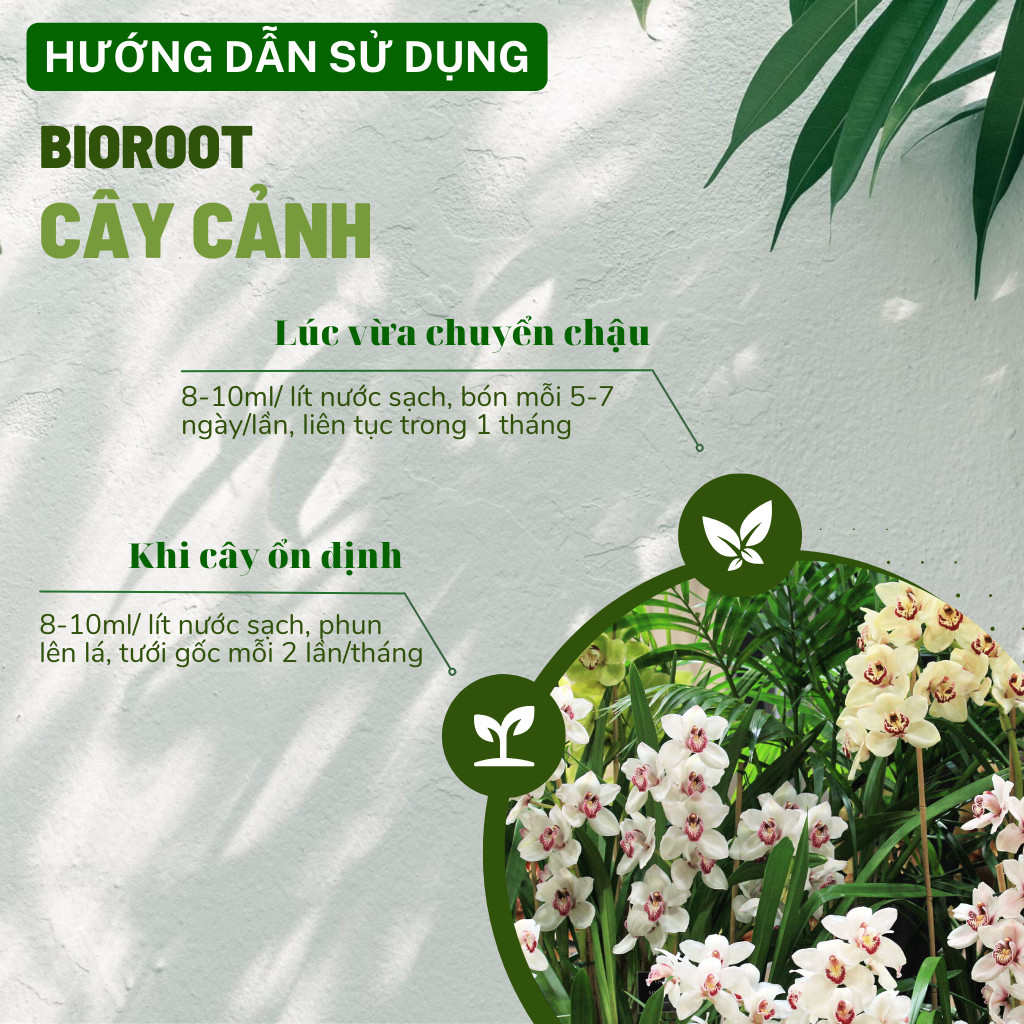 Mô tả Phân bón kích rễ BioRoot DOCNEEM rễ khỏe vượt trội, dinh dưỡng tối ưu, dùng cho hoa lan, cây cảnh, 500ml - 3