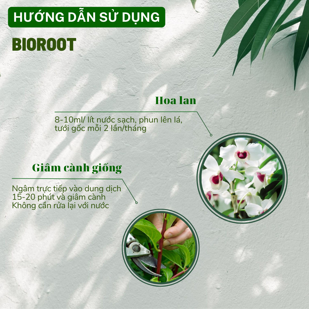 Mô tả Phân bón kích rễ BioRoot DOCNEEM rễ khỏe vượt trội, dinh dưỡng tối ưu, dùng cho hoa lan, cây cảnh, 500ml - 4