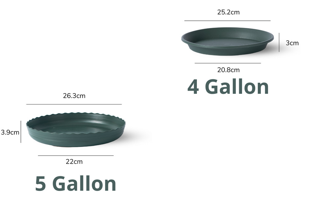 Mô tả Đĩa lót chậu nhựa trồng cây Monrovia chậu trồng cây, chậu cây cảnh mini, để bàn, treo ban công, treo tường, chính hãng - 2