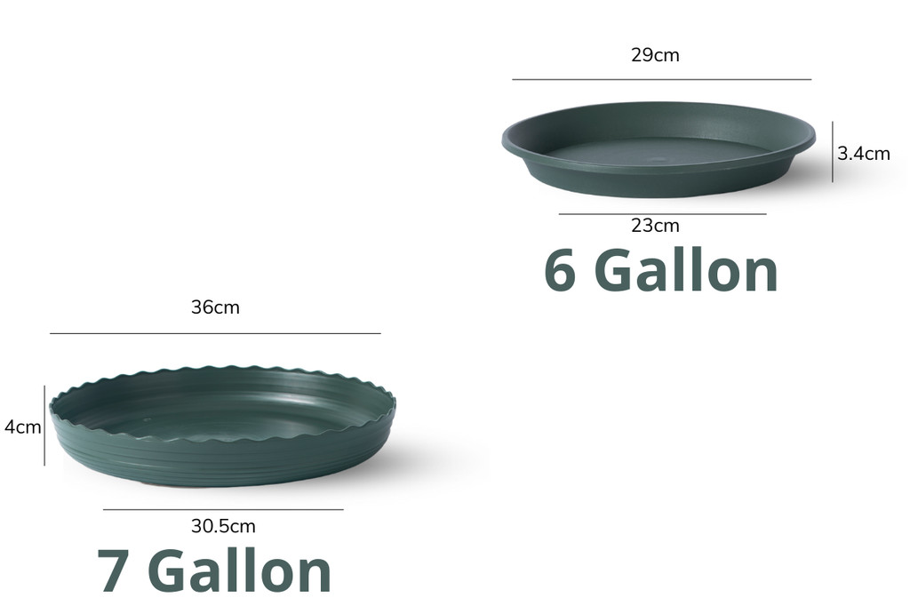 Mô tả Đĩa lót chậu nhựa trồng cây Monrovia chậu trồng cây, chậu cây cảnh mini, để bàn, treo ban công, treo tường, chính hãng - 3