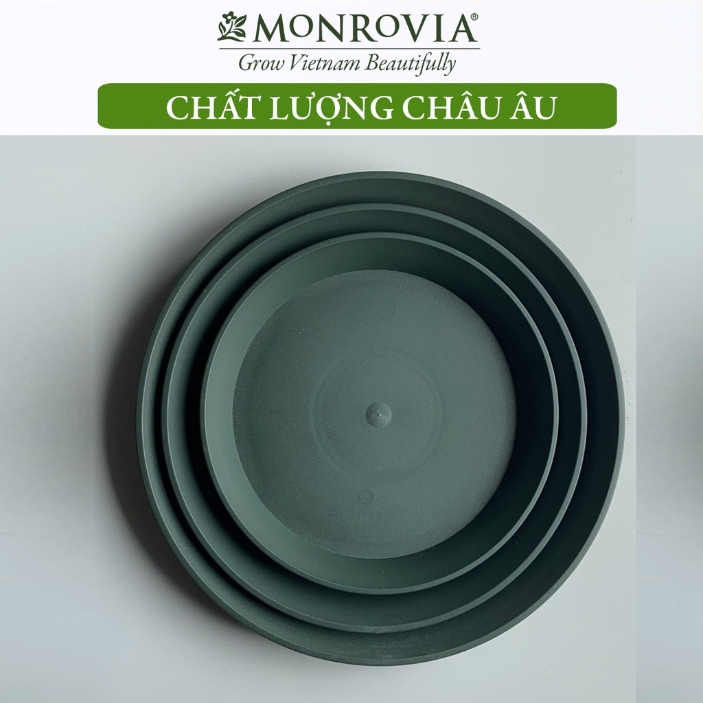 Mô tả Đĩa lót chậu nhựa trồng cây Monrovia chậu trồng cây, chậu cây cảnh mini, để bàn, treo ban công, treo tường, chính hãng - 6