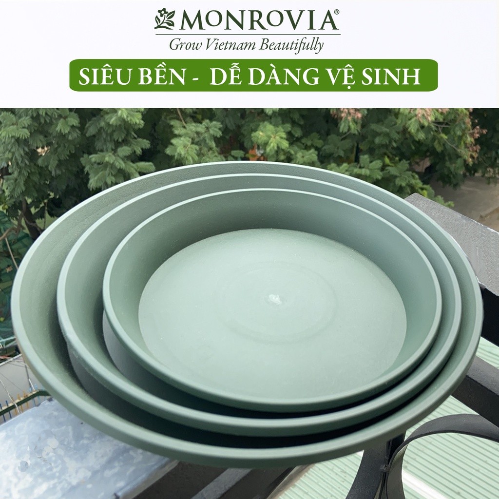 Mô tả Đĩa lót chậu nhựa trồng cây Monrovia chậu trồng cây, chậu cây cảnh mini, để bàn, treo ban công, treo tường, chính hãng - 7