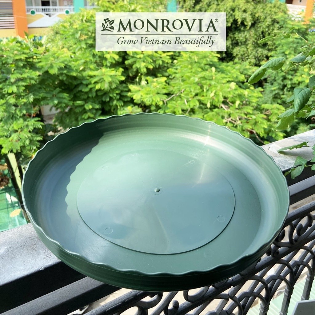 Mô tả Đĩa lót chậu nhựa trồng cây Monrovia chậu trồng cây, chậu cây cảnh mini, để bàn, treo ban công, treo tường, chính hãng - 9