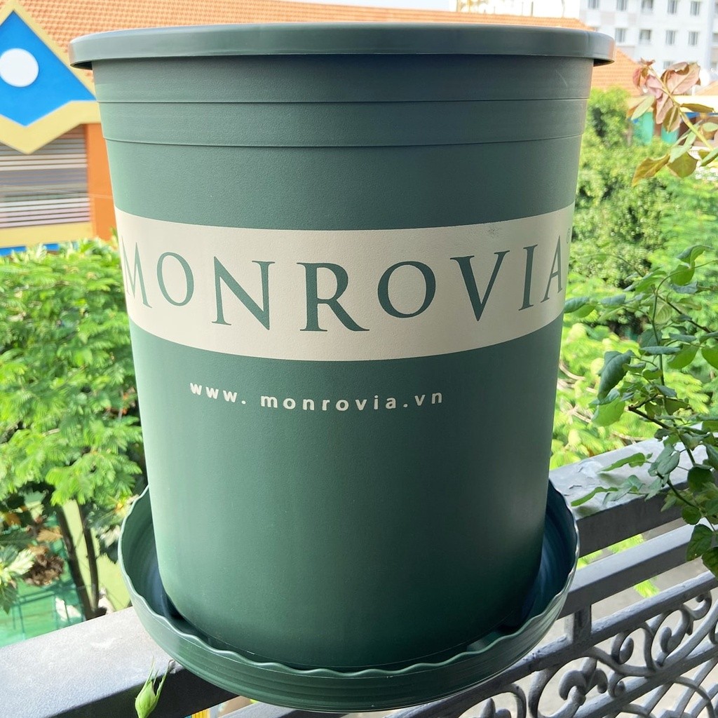 Mô tả Đĩa lót chậu nhựa trồng cây Monrovia chậu trồng cây, chậu cây cảnh mini, để bàn, treo ban công, treo tường, chính hãng - 10