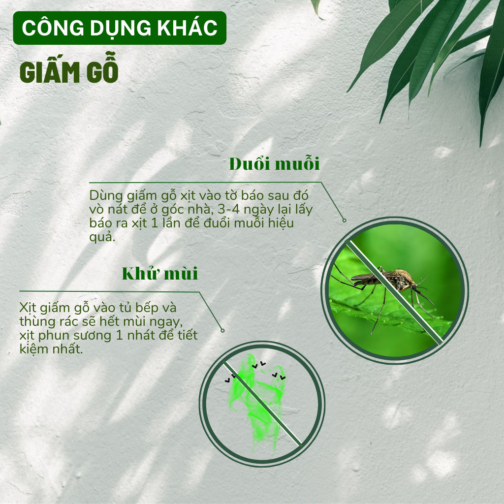 Mô tả Giấm gỗ sinh học DOCNEEM phòng ngừa xua đuổi côn trùng, diệt nấm lá cho cây cảnh, rau củ quả, hoa hồng, phong lan 500ml - 4