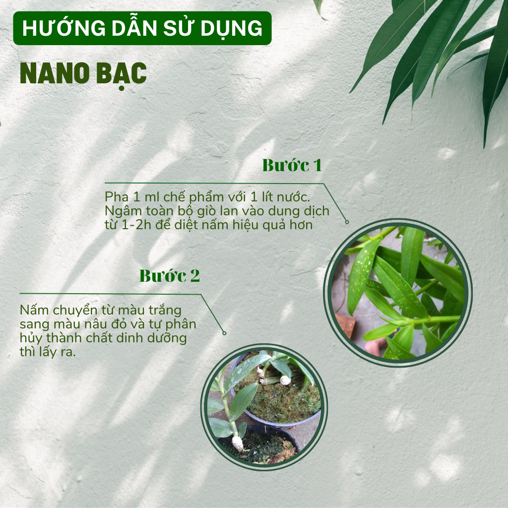 Mô tả Nano Bạc DOCNEEM nguyên chất Diệt sạch nấm bệnh, vi khuẩn, virus hoa hồng, hoa lan, thương hiệu Docneem, chai 500ml - 2