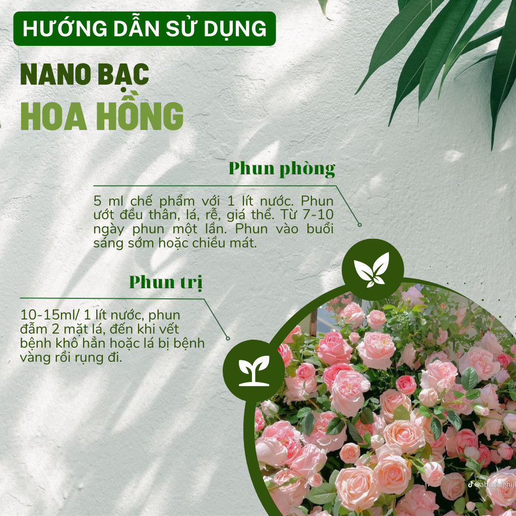 Mô tả Nano Bạc DOCNEEM nguyên chất Diệt sạch nấm bệnh, vi khuẩn, virus hoa hồng, hoa lan, thương hiệu Docneem, chai 500ml - 3