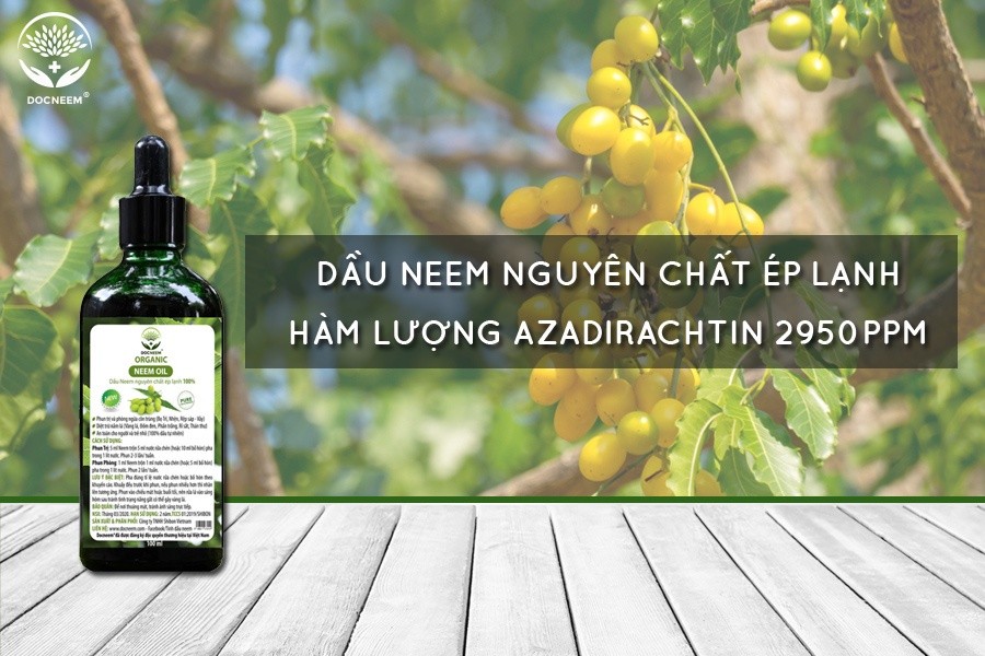 Mô tả Dầu neem oil DOCNEEM hữu cơ phòng trị sâu bệnh hoa hồng, phong lan, cây cảnh, nguyên chất ép lạnh, hàng chính hãng 500ml - 3