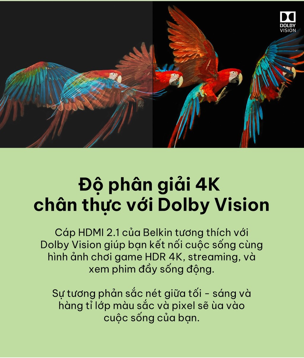 Mô tả Cáp HDMI 2.1 Belkin Ultra HD 8K tương thích với Dolby Vision™  dài 2 mét AV10175 - 4