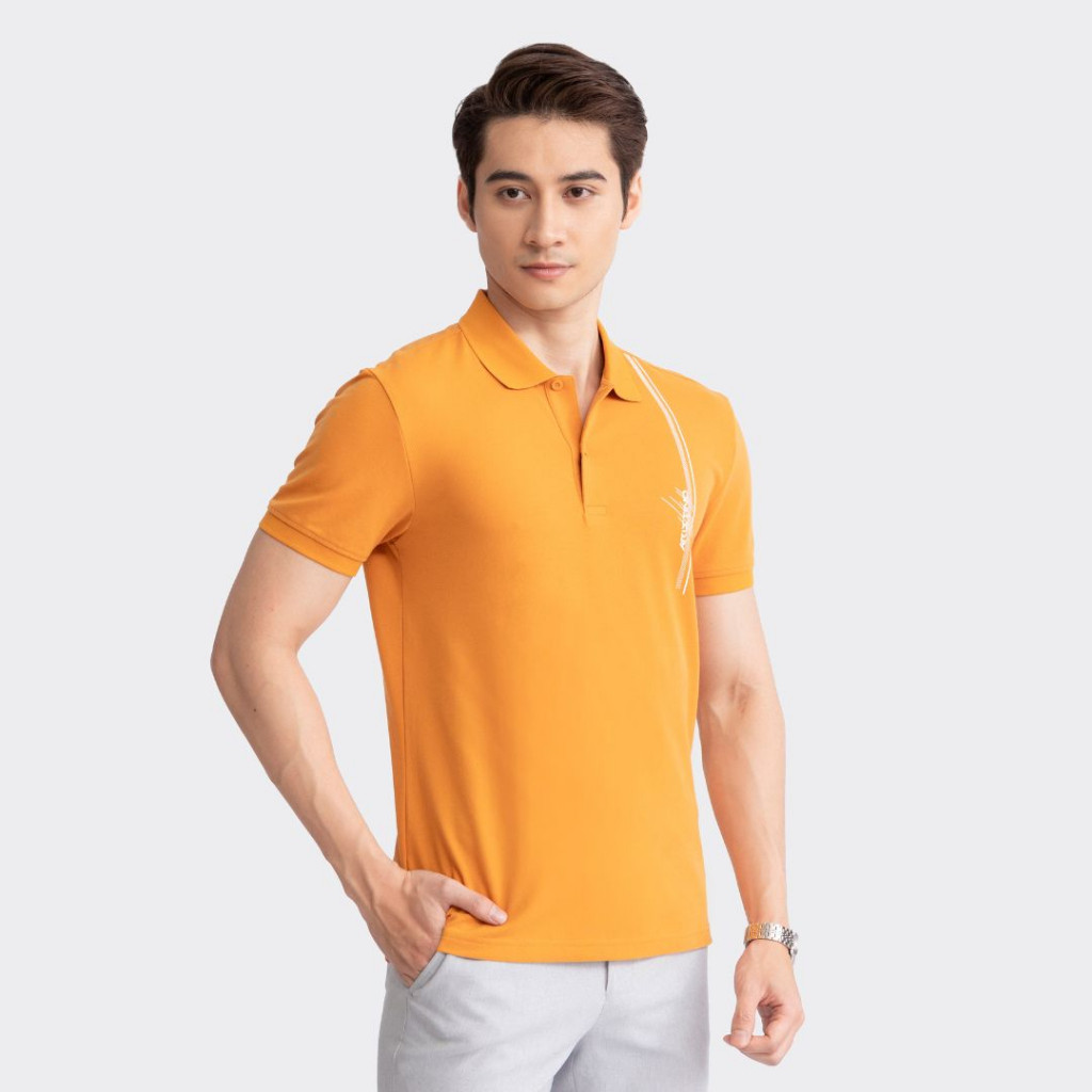 Mô tả Áo polo nam Aristino Slim fit, thiết kế cổ dệt lịch sự, họa tiết kẻ cách điệu trẻ trung hiện đại - APS046S3 - 10