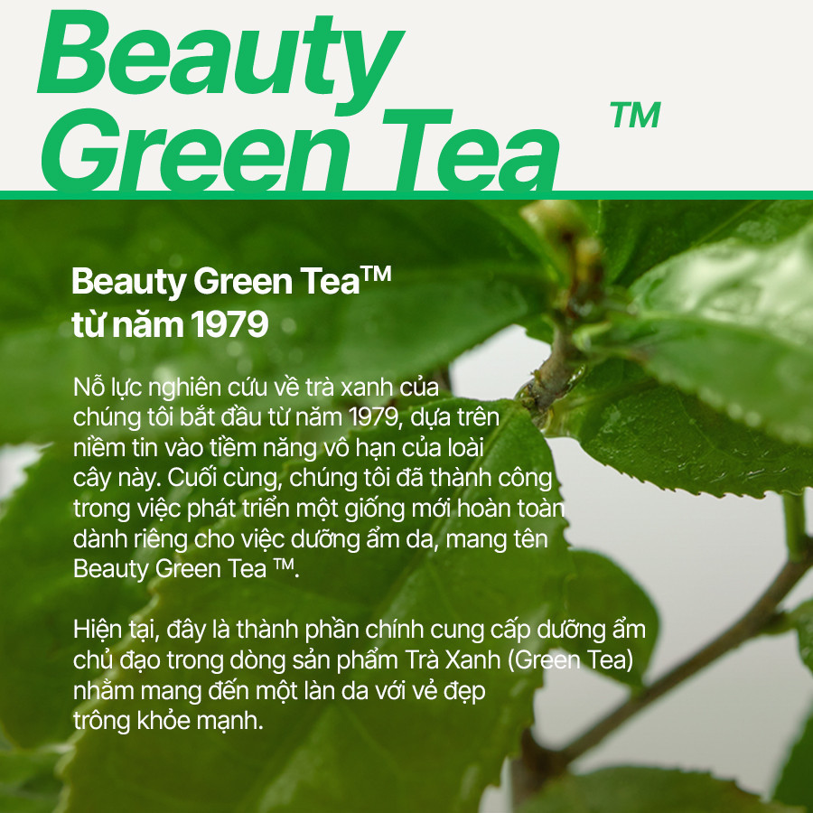 Mô tả Nước cân bằng trà xanh INNISFREE Green Tea Hyaluronic Skin 170ml - 6