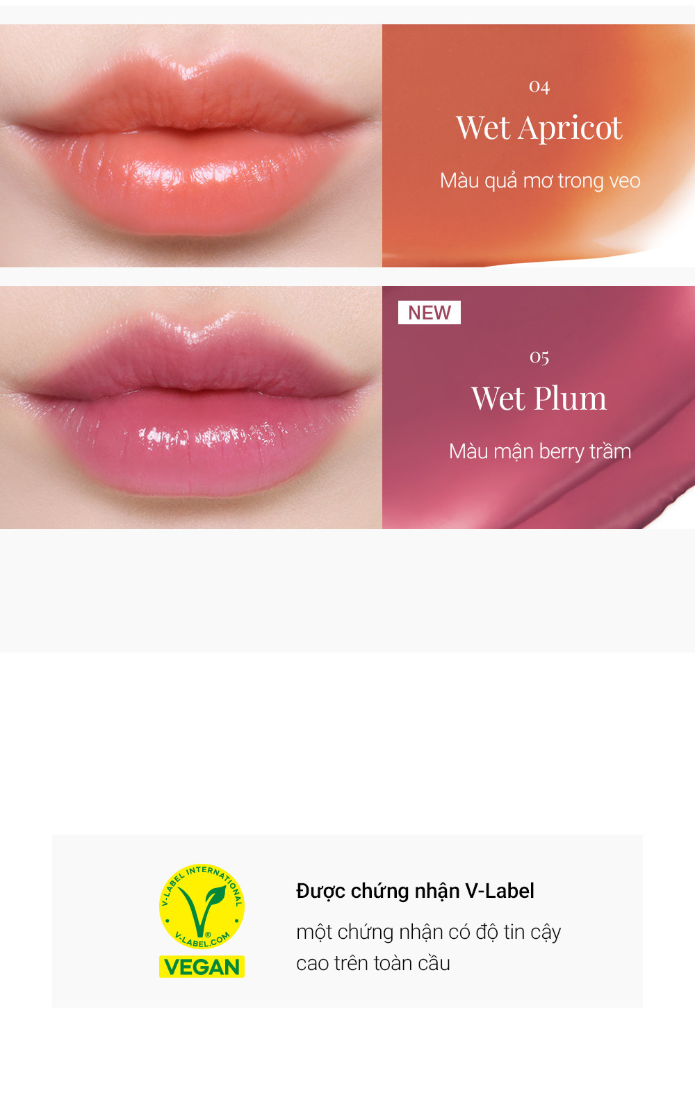 Mô tả Son thỏi Bbia Ready To Wear Water Lipstick( 5 màu) 3g Bbia Official Store - 4