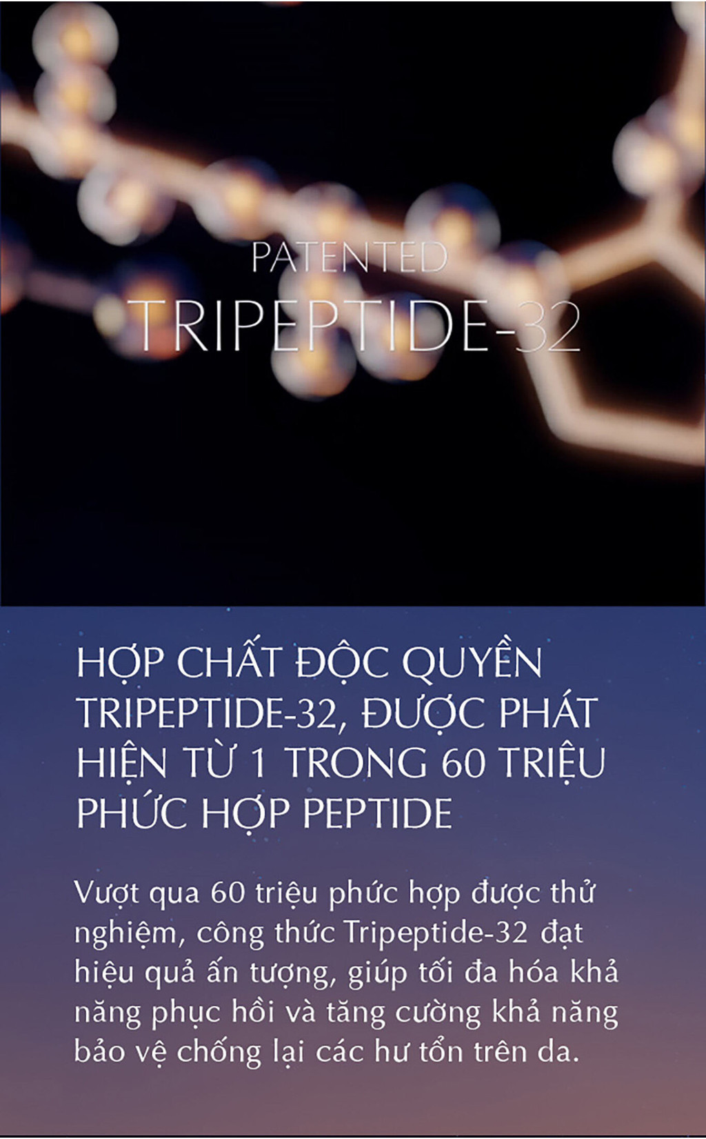 vn 11134202 7ras8