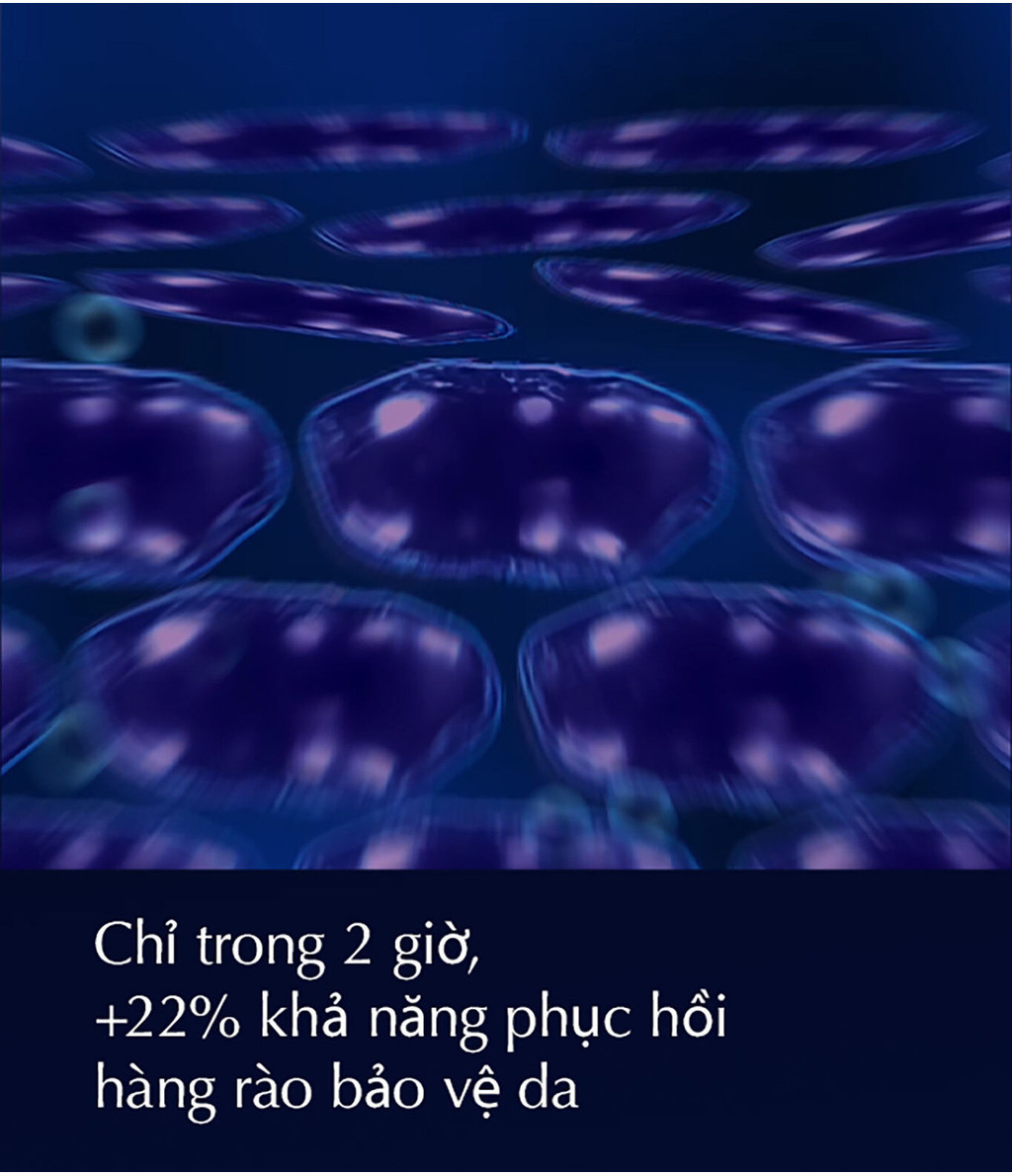 vn 11134202 7ras8 m4ic5oo97deo0d