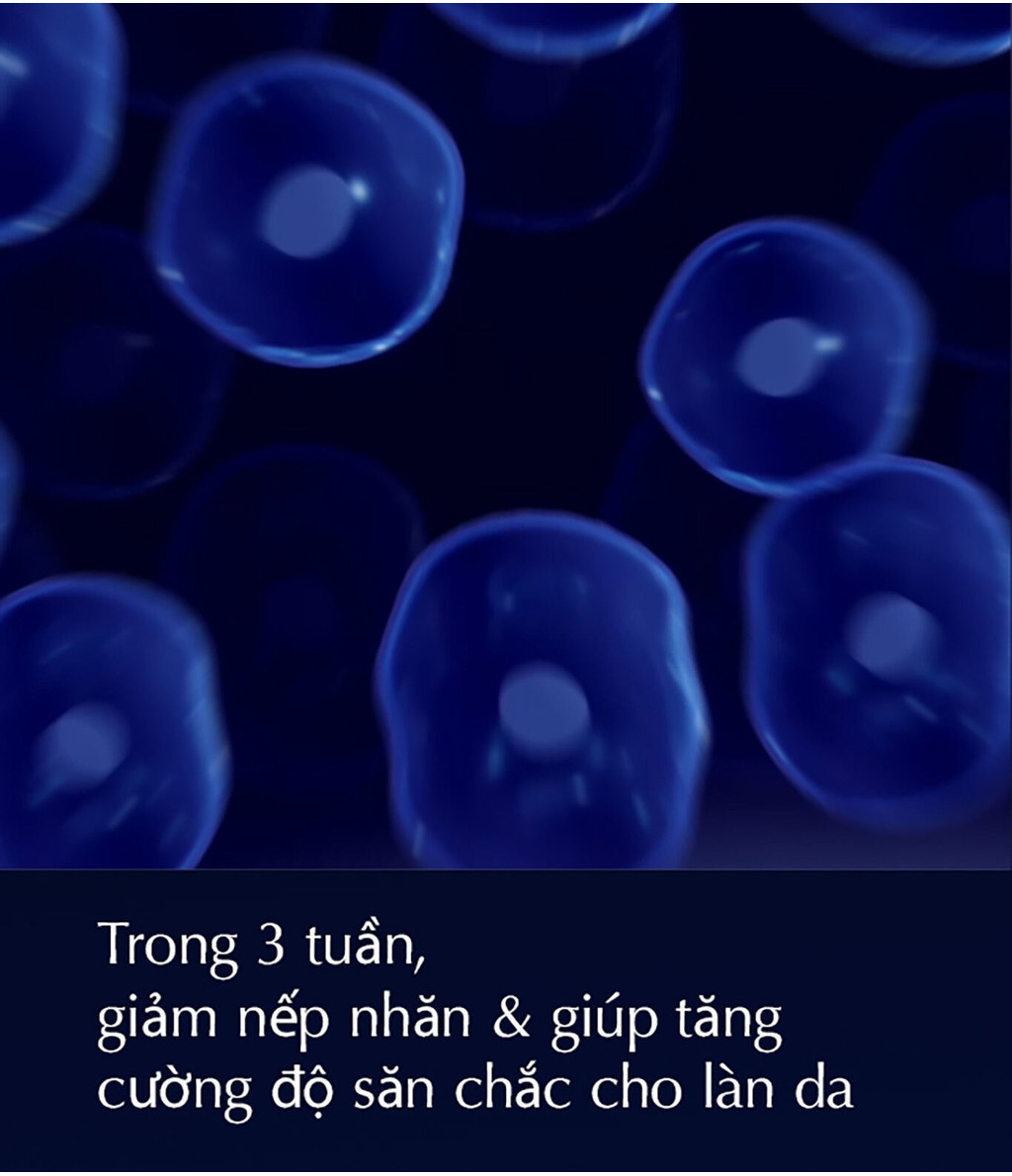 vn 11134202 7ras8 m4ic5oy8sq5s1e