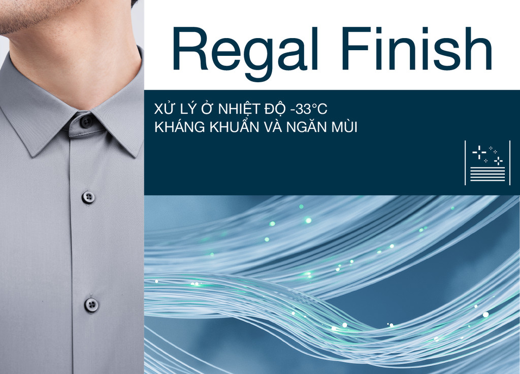 Mô tả Áo sơ mi nam tay dài DETERMINANT 100% cotton mềm mại thấm hút tốt - 202 - màu xám - 3