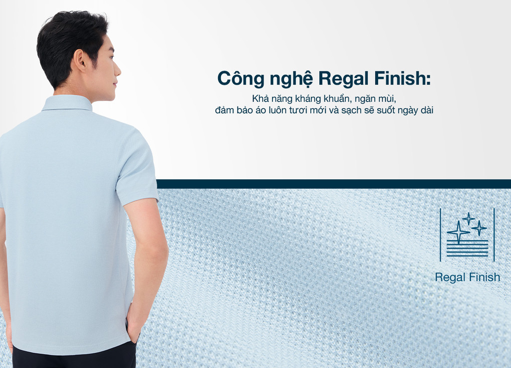 Mô tả Áo thun nam polo DETERMINANT 100% cotton siêu dài, chống xù lông thấm hút tốt -  P02 - 5