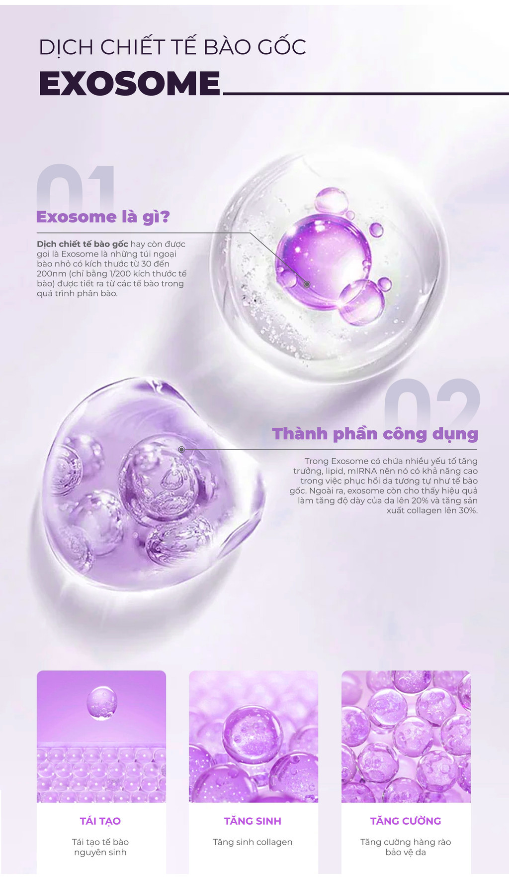 Mô tả Combo 10 Mặt Nạ BNBG Tinh Chất Hỗ Trợ Tăng Cường EXOSOME Hỗ Trợ Giảm Lão Hóa 30mlx10 - 4