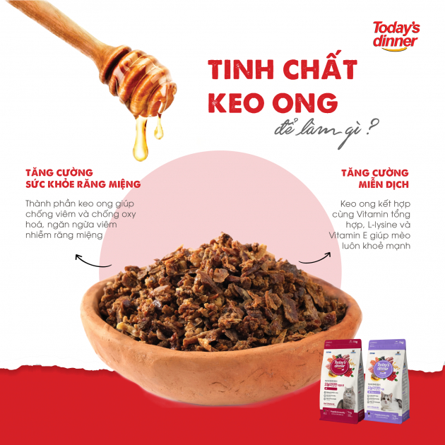 [1KG] Today's Dinner Cat - Thức ăn hạt Cho Mèo Nhỏ/Trưởng Thành
