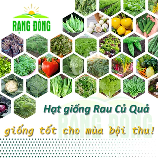 hạt giống rau củ giá tốt Tháng 1, 2026 | Mua ngay | Shopee Việt Nam