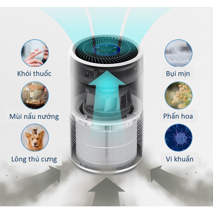 【TCL Hàng Tặng Không Bán】 Máy lọc không khí TCL Breeva A1C - Bộ lọc  lớp 3 lớp Hepa H13- Lọc bụi mịn 360 độ | BigBuy360 - bigbuy360.vn