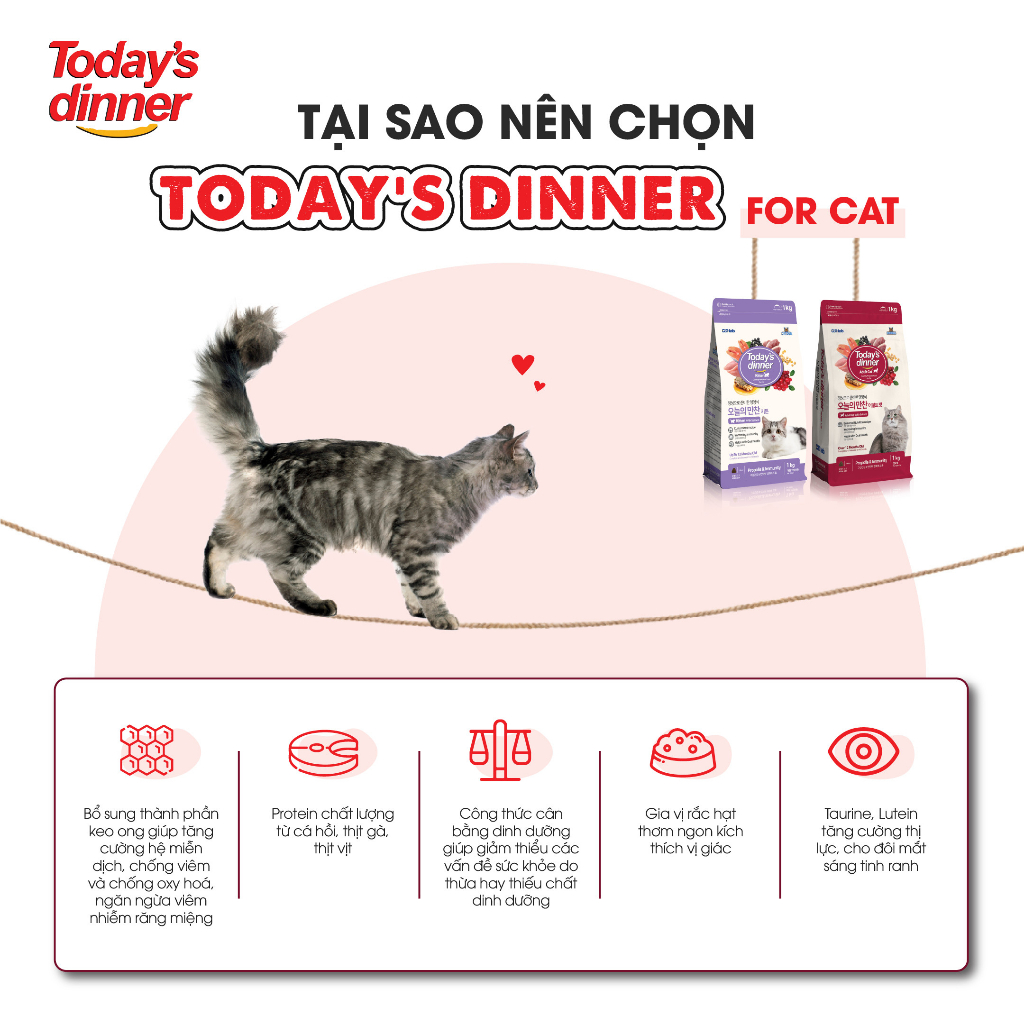 [1KG] Today's Dinner Cat - Thức ăn hạt Cho Mèo Nhỏ/Trưởng Thành