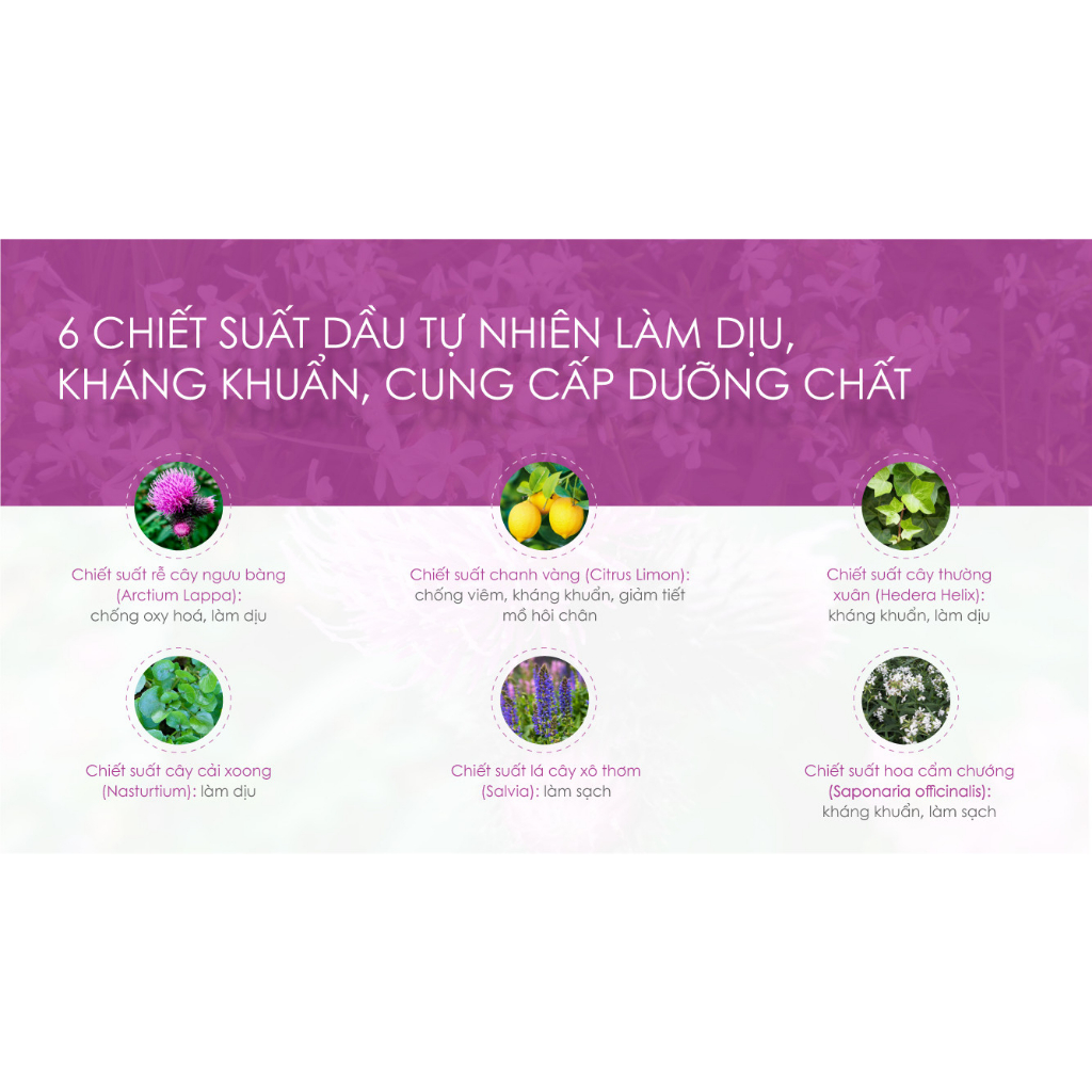 Túi ủ tẩy tế bào chết da chân kháng khuẩn, khử mùi, dưỡng ẩm PERORIN Nhật Bản hương Matcha hộp 1 túi