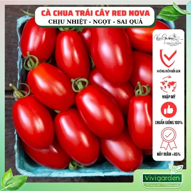 4. Hiệu Quả Kinh Tế Từ Việc Trồng Cà Chua Nova Đỏ