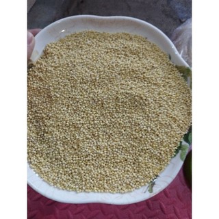 Hạt Kê Nếp 1kg Hút Chân Không – Kê Vàng Dẻo Thơm, Nấu Cháo, Làm Bánh, Ăn Dặm, Dễ Tiêu Hóa