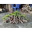 Cây gỗ lũa bonsai cho hồ kích thước lớn ( hồ cá 90cm trở lên)