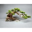 Cây gỗ lũa bonsai cho hồ kích thước lớn ( hồ cá 90cm trở lên)