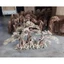 cây gỗ lũa bonsai 3 thân (đế có đá)