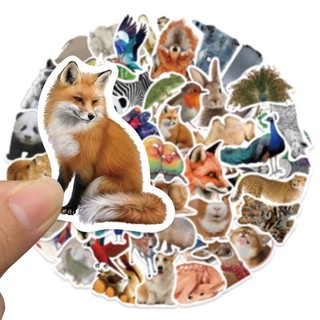 Set combo 50 miếng dán sticker động vật dán nón mũ bảo hiểm laptop vali sổ tay đàn guitar điện thoại xe máy