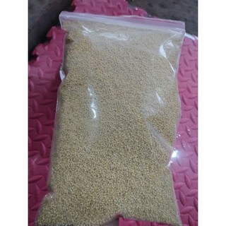 Hạt Kê Nếp 1kg Hút Chân Không – Kê Vàng Dẻo Thơm, Nấu Cháo, Làm Bánh, Ăn Dặm, Dễ Tiêu Hóa