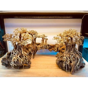 Gỗ lũa bonsai cho hồ thủy sinh [Layout cầu, bậc lên]